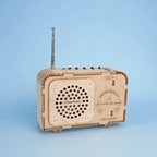 DIY Radio & Walkie Talkie Kit